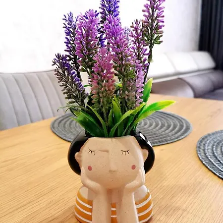 Viva 3 Grand Monastery Appartement