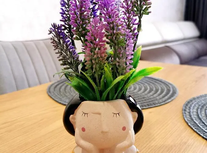 Viva 3 Grand Monastery Apartament